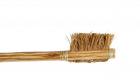 500 साल पहले चीन ने कराया था ब्रश का पेटेंट, जानवर के बालों से बना था पहला टूथब्रश