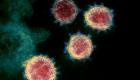 新冠病毒已有数百种变体，或致二次感染、影响疫苗效力