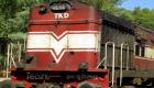 قطار يدهس 16 عاملا بالهند.. لماذا عرضوا حياتهم للخطر؟