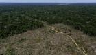 Aumenta La deforestación en la Amazonía casi un 64% 