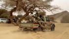 النيجر تعلن مقتل 75 إرهابيا من "بوكو حرام"