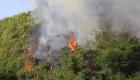 Rize’de orman yangını: Yol olmadığı için müdahale edilemiyor