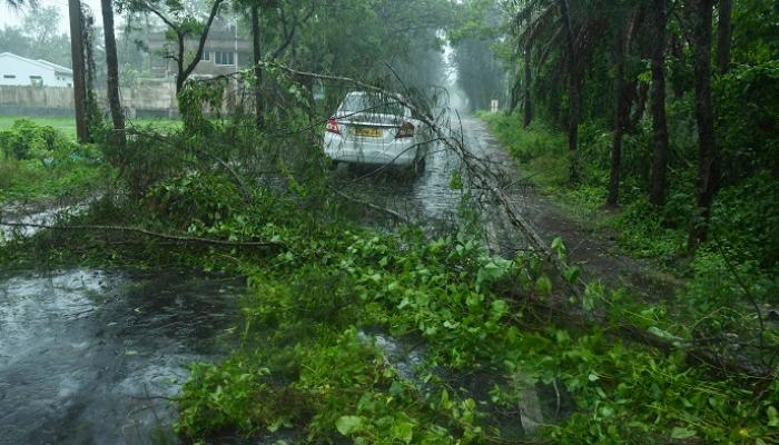 الإعصار أمفان يقتلع الأشجار