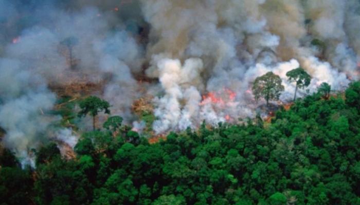 حرائق غابات الأمازون - أرشيفية
