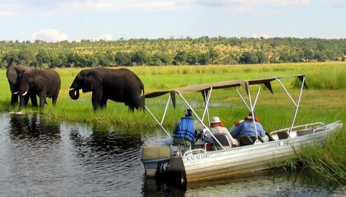 سياح أجانب بقوارب سفاري يراقبون الفيلة في ناميبيا
