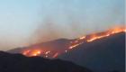 آتش سوزی گسترده در منطقه حفاظت شده خائیز کهگیلویه