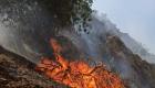 آتش سوزی جنگل های "دیل" گچساران همچنان ادامه دارد