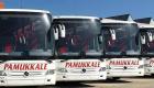 شركة حافلات تركية عملاقة ترضخ لمقصلة كورونا