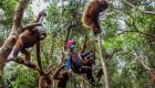 الصيد الجائر يهدد حيوانات غابات إندونيسيا في ظل كورونا