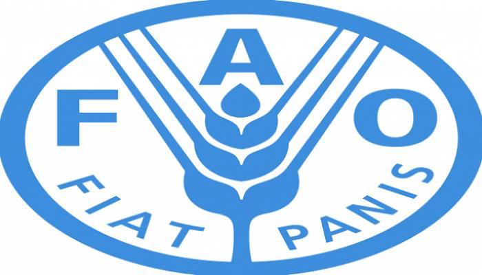 شعار منظمة الفاو