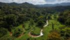 غابات "لا موسكيتيا".. مخبأ الحيوانات المنقرضة في هندوراس