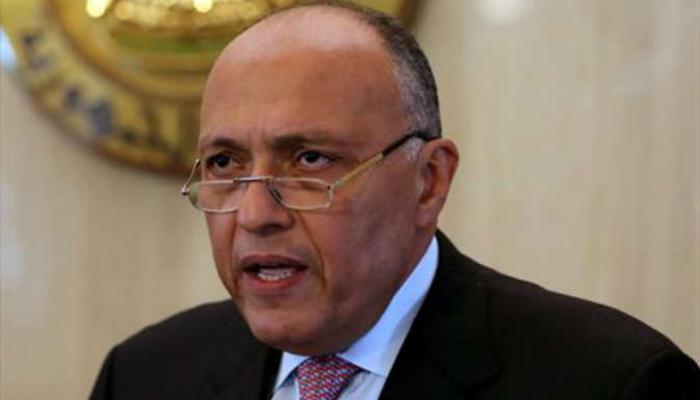 سامح شكري وزير الخارجية المصري