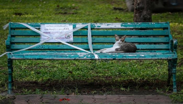 الدراسات توصي بضرورة الحذر في التعامل مع الحيوانات