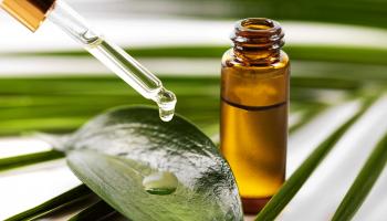 زيت شجرة الشاي