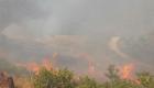 Bodrum’da makilik ve otluk alanda korkutan yangın