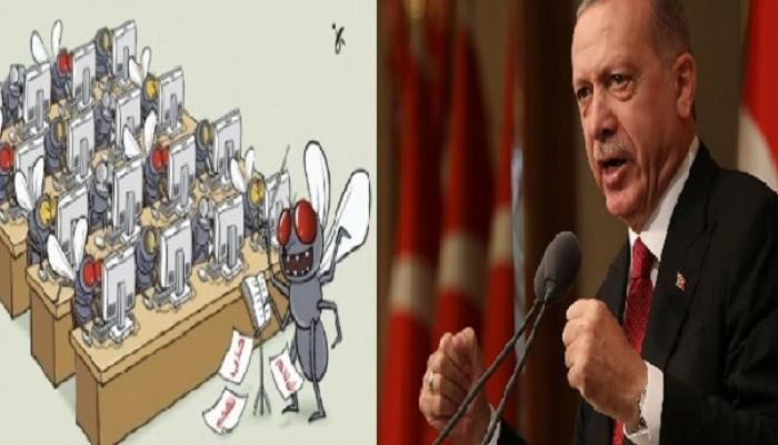 أردوغان يطلق ذبابه الإخواني على الجزائر 
