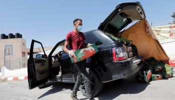 المزارع الفلسطيني محمود أبو مقدام يحمل أحد صناديق الخيار