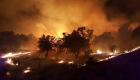 وقوع ۱۲۰۰ فقره آتش‌سوزی جنگلی و مرتعی در ایران