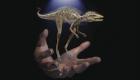 تحقيقات جديد: اجداد دایناسورها احتمالا بسیار کوچک بودند