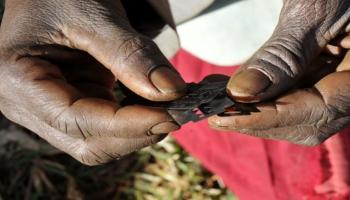 عقوبة ختان الإناث في السودان تصل للسجن 3 سنوات
