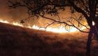 سه شبانه روز آتش‌سوزی در جنگل‌ها و مراتع دمچنار بویراحمد