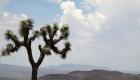 "وادي الموت" يسجل أعلى درجة حرارة في العالم