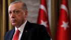 أردوغان والتدخلات الخارجية.. على نفسها جنت براقش