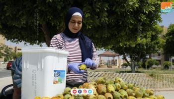 هبة عبدالحميد تبيع التين الشوكي