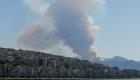 İzmir’in Balçova ilçesinde orman yangını çıktı