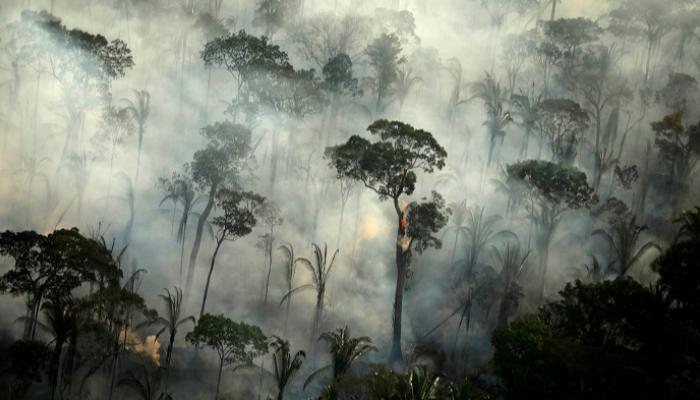 ارتفاع عدد الحرائق في غابات الأمازون