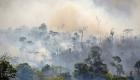 Brésil: forte augmentation des incendies en Amazonie cette année
