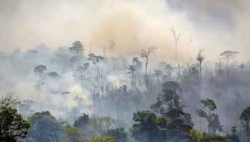 forte augmentation des incendies en Amazonie cette année