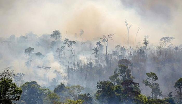 forte augmentation des incendies en Amazonie cette année