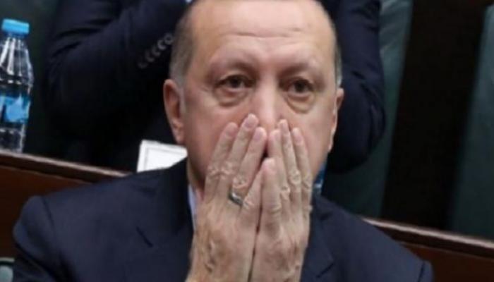 الرئيس التركي رجب طيب أردوغان - أرشيفية