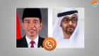 محمد بن زايد ورئيس إندونيسيا يبحثان العلاقات الاستراتيجية بين البلدين