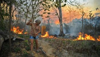 حرائق الأمازون