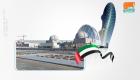 مسؤول دولي: الإمارات اعتمدت نهجا متميزا لتطوير برنامجها النووي السلمي
