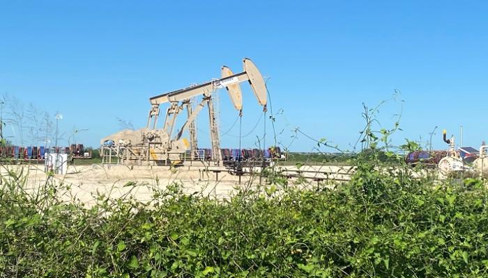 انخفاض نشاط حقل Eagle Ford Shale النفطي بسبب كورونا - رويترز