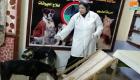 طبيبة مصرية تؤسس دارا لرعاية الكلاب المسنّة