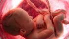 دراسة تحذر الحوامل: نقص هذا الفيتامين يهدد بموت الجنين
