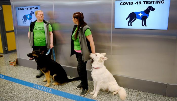 الكلاب في مطار هلسنكي تكشف عن مصابي فيروس كورونا
