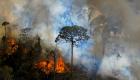 حرائق غابات البرازيل في 2020.. أعلى مستوى منذ 10 سنوات
