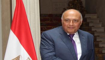 وزير الخارجية المصري سامح شكري- أرشيفية