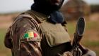 Mali: Bamako assure que des opérations sujettes à questions visaient des djihadistes 
