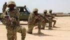 الجيش الصومالي يستهدف "الشباب الإرهابية" جنوبي البلاد