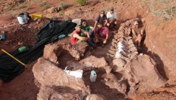 الديناصور العملاق يبلغ من العمر 98 مليون عام 