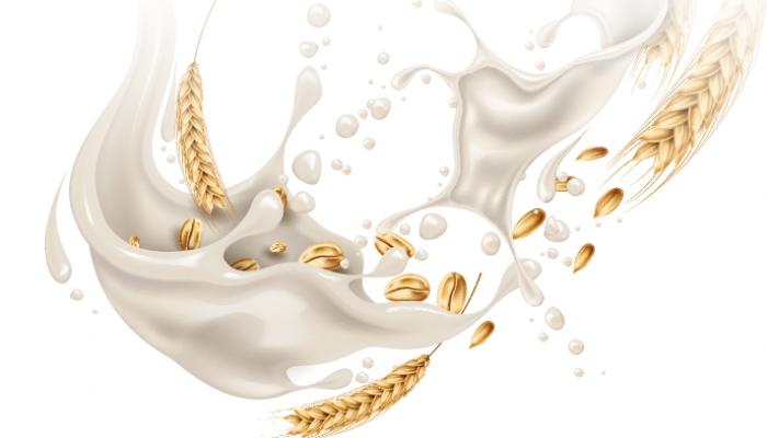 الشوفان.. كنز من الفوائد الصحية
