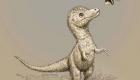 مفاجأة.. صغار التيرانوصورات كانت بحجم كلب عند الولادة