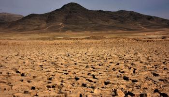 انعدام الأمن الغذائي يهدد الكوكب