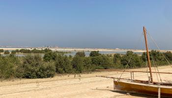 مشروع غابة المانجروف